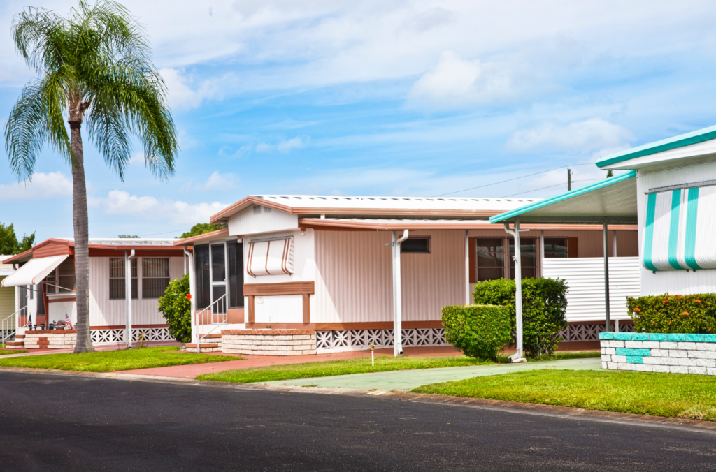 Quaint mobile homes with a palm tree.