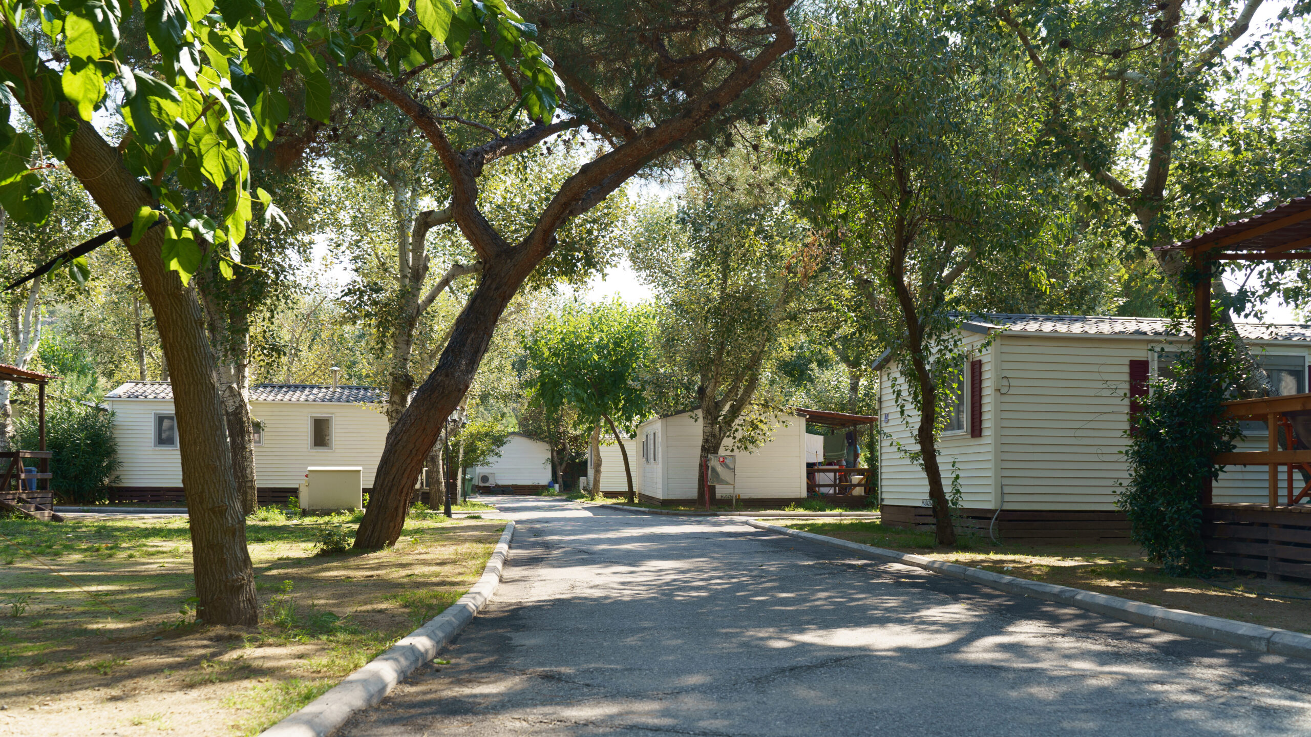 Vacation mobile houses in beautiful forest natural park. Slow living concept.