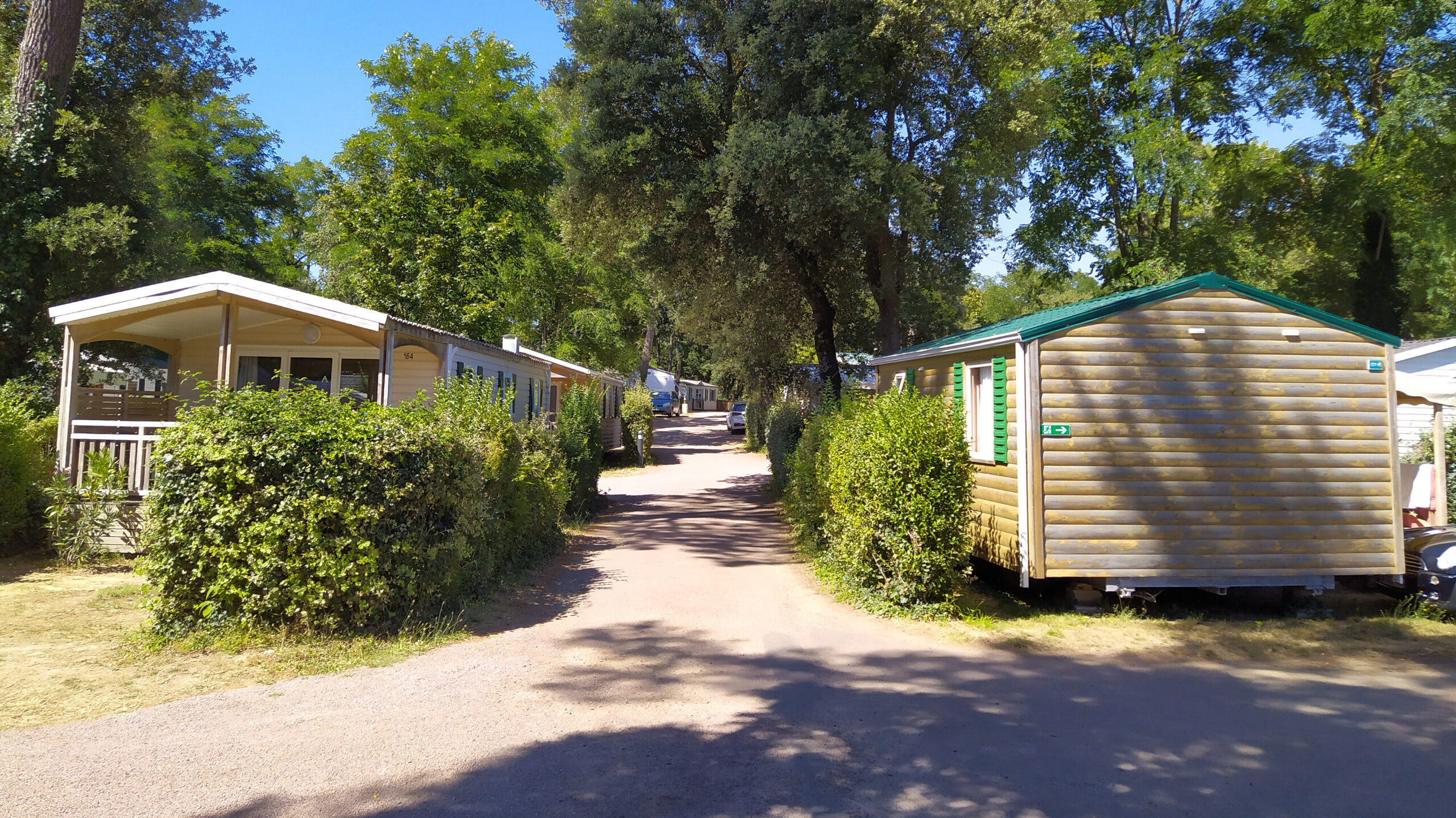 allée de Mobil-Homes dans un camping