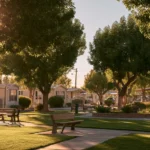 Infill and Vacant-Pad Strategy in Mobile Home Parks